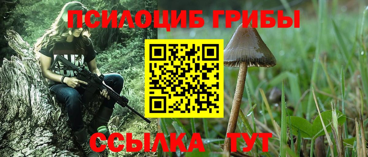 Псилоцибиновые грибы Cubensis Тула