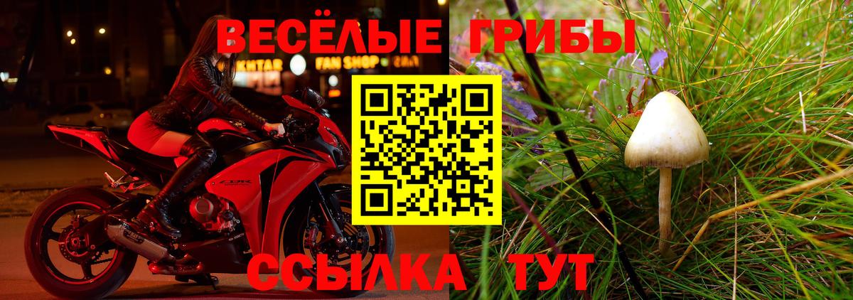 Тула  где купить наркоту  Вход с VPN  Псилоцибиновые грибы мицелий 